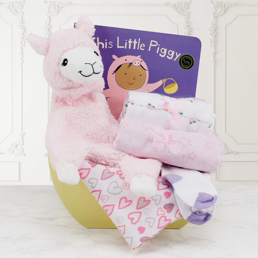 Snuggles & Storytime Baby Basket