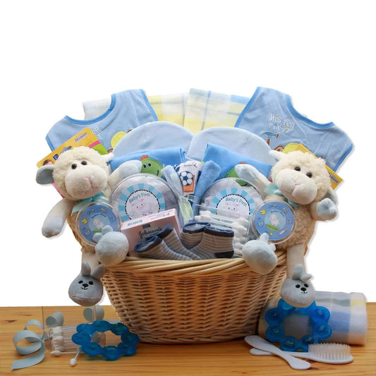 Double Delight Twins New Baby Gift Basket – Blue