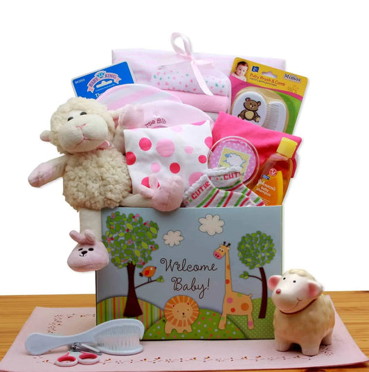 Welcome New Baby Box- Pink