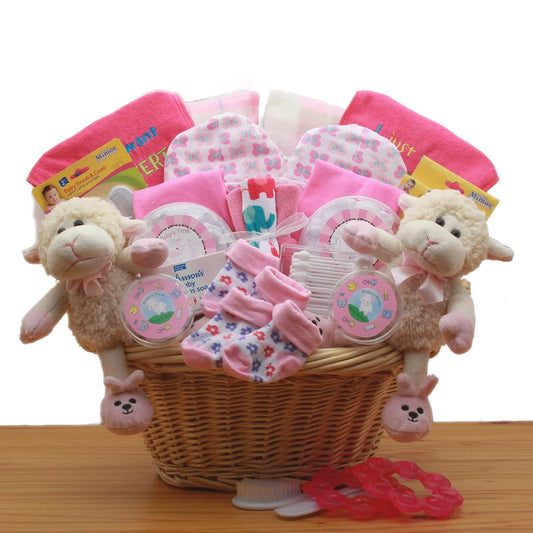 Double Delight Twins New Babies Gift Basket – Pink